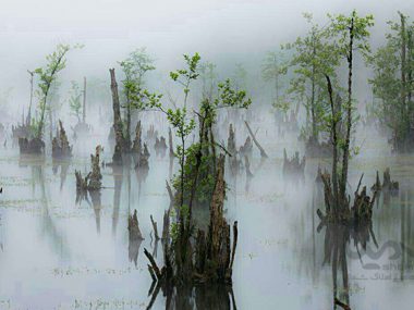 دریاچه ی ارواح، دریاچه ای در دل جنگل های نوشهر